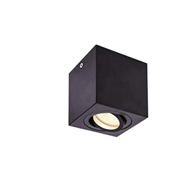 Image de SLV TRILEDO CL QPAR51 Plafonnier d&#039;intérieur Noir 10 W maximum