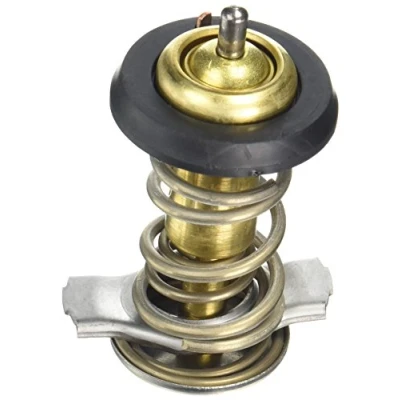 Image de Thermostat d&#039;eau FACET 7.8842
