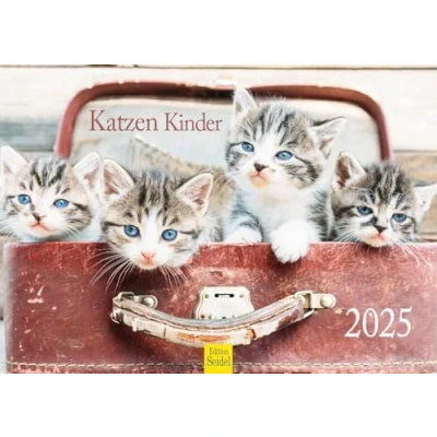 Image de Edition Seidel Calendrier mural 2025 de qualité supérieure Motif chats Format A4 Pour animaux compagnie Chatons Chat Chaton
