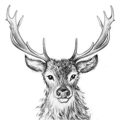 Image de Lot de 20 serviettes Paul, le cerf Animaux Forêt Chasse Chasseur Décoration table Decoupage Technique serviette 33 x cm