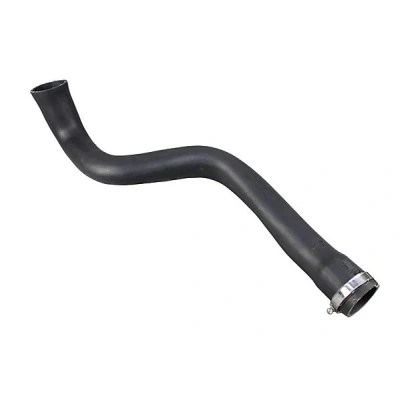 Image de METZGER 2400976 Gaine De Suralimentation Caouchouc textilé avec collier RENAULT: MEGANE 2 Stufenheck, SCENIC 2,