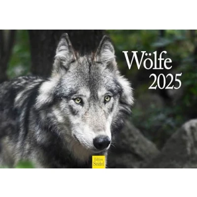 Image de Edition Seidel Calendrier mural 2025 de qualité supérieure Format A3 Motif : animaux sauvages Loup Forêt Nature