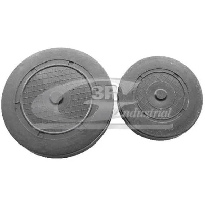 Image de 3RG 80663 Bouchon, axe de culbuteurs nez fileté RENAULT: Kangoo I, LAGUNA 2, MEGANE 2 Coupe Cabriolet, DACIA: Duster SUV