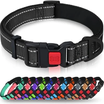 Image de Taglory Collier pour Chien, en Nylon Réfléchissant Réglable Classique avec Rembourré Doux Respirant Mesh Petits Chiens, S, Noir