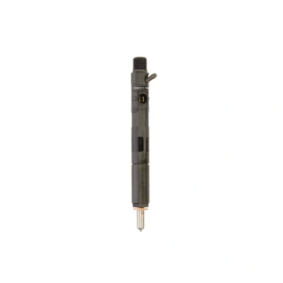 Image de DELPHI R02201Z Porte injecteur FORD: Focus Mk1 3/5 portes, Transit Connect Van, Break