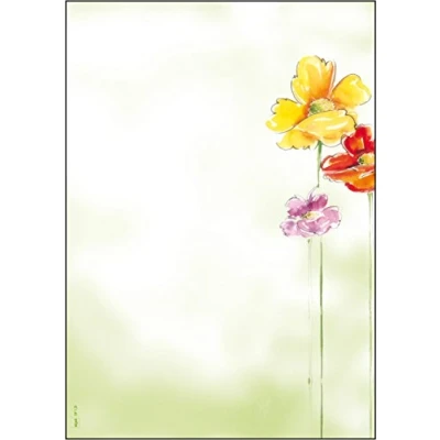 Image de SIGEL Dp123 Papier à Lettres, 21 X 29,7 cm, 90G/M², Fleurs de Printemps, Jaune, Rouge, Vert et Rose, 50 Feuilles