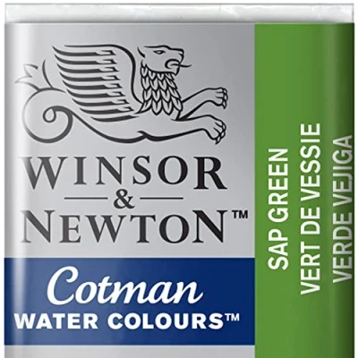 Image de Winsor &amp; Newton Cotman Aquarelle 1/2 Godet Vert De Vessie