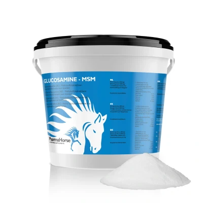 Image de Glucosamine &amp; MSM Cheval 1000 gr. Suppléments