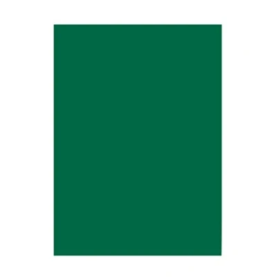 Image de Folia 6358 Lot de 50 Feuilles Papier Couleur Vert Sapin Format A3 130 g/m² pour Le Bricolage et la Conception créative des Cartes, Images fenêtre Scrapbooking