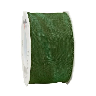Image de PRÄSENT C.E. Pattberg Lyon Ruban en Taffetas renforcé de Fil Fer Vert foncé 60 mm x 25 m