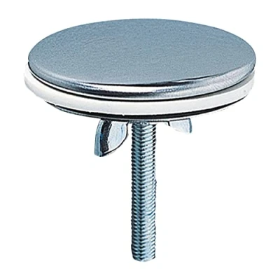 Image de Wirquin 39252004 Cache trou en inox D43 pour évacuation, chromé