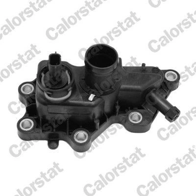 Image de Bride de liquide refroidissement CALORSTAT WF0198