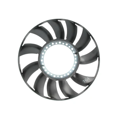 Image de THERMOTEC D9W001TT Roue du souffleur, refroidissement moteur AUDI: A4 B5 Berline, Avant, B6 VOLKSWAGEN: Passat GP Break