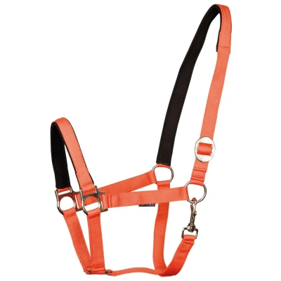 Image de Harry&#039;s Horse Licol bridoonded Full Orange