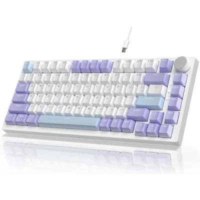 Image de YINDIAO AK820 Clavier Mécanique avec Knob,Disposition 75% ANSI,82 Touches de Jeu Filaire,5 Mousses Insonorisantes,Hot Swap,Interrupteur Linéaire,Rétroéclairage RVB,pour PC,Mac (Violet)