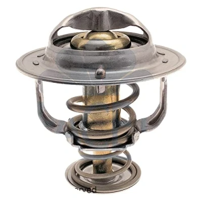 Image de Thermostat d&#039;eau FACET 7.8404