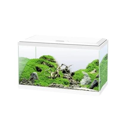Image de Ciano, Aquarium 60 Blanc, pour Poissons, Équipé d&#039;un Filtre, Consommables, LED et Chauffage, 58L, Emballage Renforcé Envoi Web
