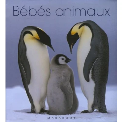 Image de Bébés animaux Livre d’occasion Très bon