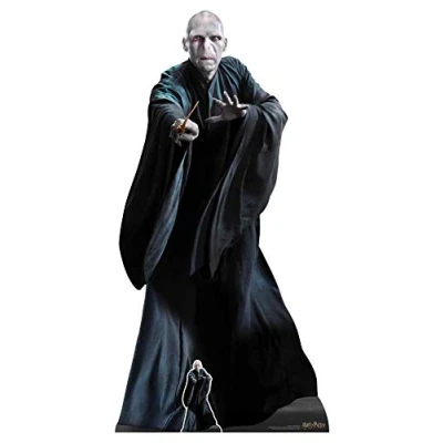 Image de Star CUTOUTS SC1481 Lord Voldemort He Who Must Not Be Named Perfect for Fans Hauteur 184 cm, Uni, Normal
