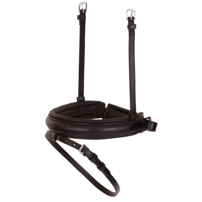 Image de BR Cordon de serrage Muserolle large SD Full / Argent Noir