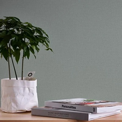 Image de A.S. Création 387446 Nara Papier peint intissé uni 10,05 m x 0,53 Fabriqué en Allemagne Vert/gris