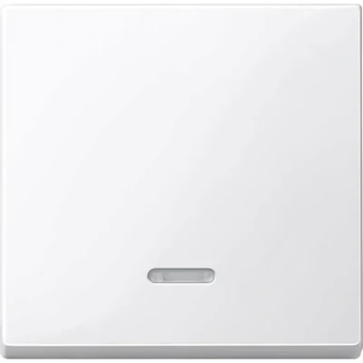 Image de Interrupteur avec témoin lumineux Merten 436019 System M, 1 M Smart, Plan, Creativ blanc polaire brillant