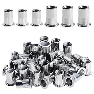 Image de Gueenky 100 Pièces Rivet Ecrou M6 M8, Écrous à Rivets en Acier Inox, Tête Plate Insert Assortiment Kit pour Bois Meubles, Chaque Taille 50