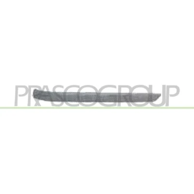 Image de Baguette et bande protectrice, pare chocs PRASCO BM0181253