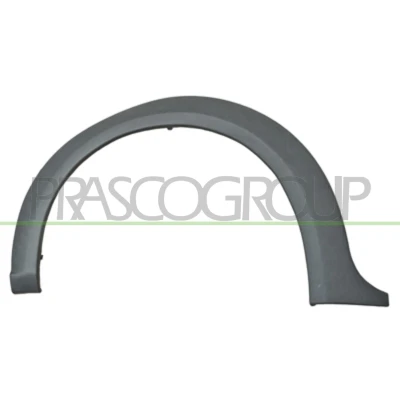 Image de PRASCO FD9341581 Baguette et bande protectrice, aile avant droite FORD: Transit Connect Mk1 Van