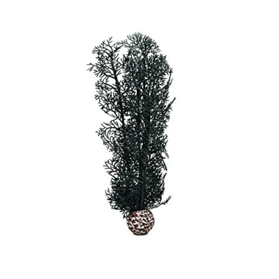 Image de biOrb Corail corné M noir