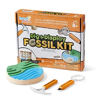 Image de Learning Resources kit de fossiles à déterrer et exposer pour les 8 12 ans, scientifique enfants avec véritables un guide très instructif