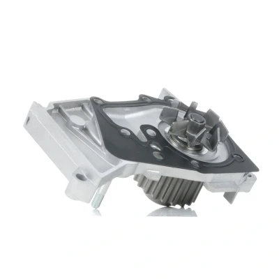 Image de FEBI BILSTEIN 21239 Pompe à eau 20 Fonte d&#039;aluminium avec joint d&#039;étanchéite Métal RENAULT: MEGANE 1, Kangoo I, CLIO 2, DACIA: Logan I MCV, Duster SUV