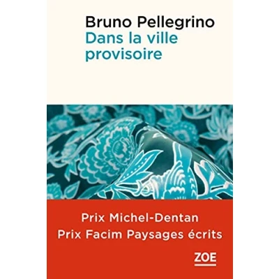 Image de Dans la ville provisoire Livre d’occasion Très bon