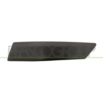 Image de Baguette décorative/de protection, pare chocs BLIC 5703 05 2576976P Droite