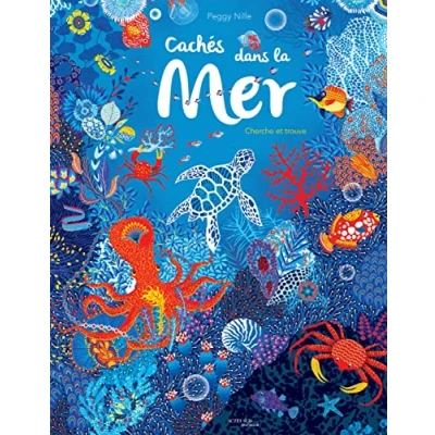 Image de Cachés dans la mer: Cherche et trouve Livre d’occasion Correct