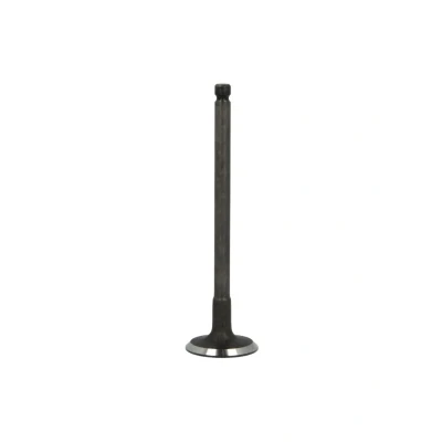Image de FRECCIA R6250/SNT soupape d&#039;Admission 27,4 Tige de nitrurée HYUNDAI: ACCENT 2, Getz