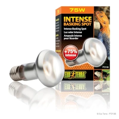 Image de Exoterra Ampoule Intense Basking Spot pour Reptiles et Amphibiens 75 W