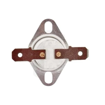 Image de Thermostat 160 degrés protection de température pour Gril Viande et Panini FS9100023318 compatible Tefal Inicio GC241D12 / GC241D24