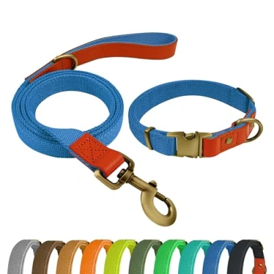 Image de Qianruida Collier Chien Tactique Laisse Ensemble Kit pour Chiens Moyens et Grands Bleu Ciel,L