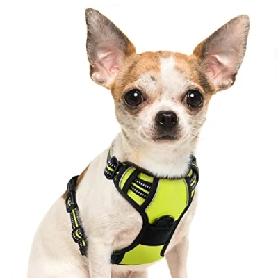 Image de Eagloo Harnais Chien, Anti Traction Réfléchissant pour Petit Chien Réglable, Facile à Mettre, Arnet Randonnée Trajet Voiture Respirant, Solide, avec Poignée Contrôle, Vert, S