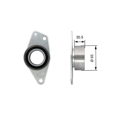 Image de GATES FleetRunner Micro V Stretch Fit T42091 Poulie renvoi/transmission, courroie de distribution RENAULT: CLIO 2, Kangoo I, I Express