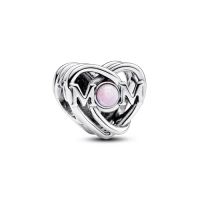Image de Pandora Moments Femmes Charm Argent 793233C01