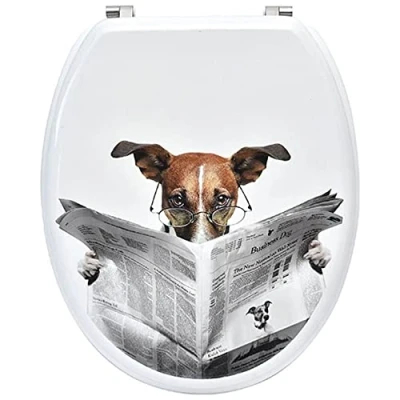 Image de Abattant WC Alli Gris