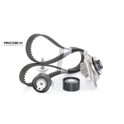 Image de INA 530 0239 30 pompe à eau + Kit De Distribution avec PEUGEOT: 206 Van, 206+ 3/5 portes, 1007 3 CITROËN: C3 II Van / portes