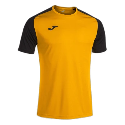 Image de Maillot Joma Academy IV