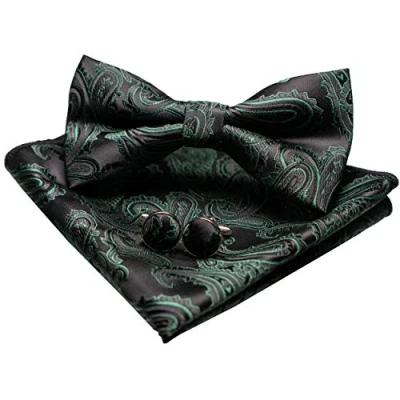 Image de JEMYGINS Noeud Papillon Homme Vert foncé en Soie Paisley Réglable et Boutons de Manchette Carré poche Ensemble Compris boîte