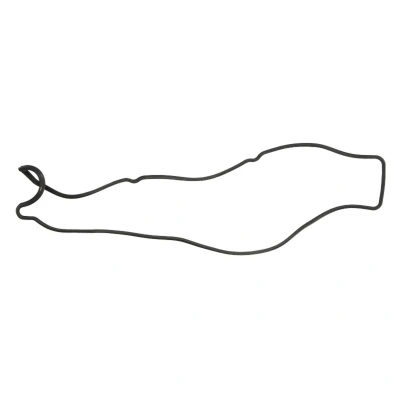 Image de REINZ 71 10119 00 Joint De Cache Culbuteurs LEXUS: GS II, IS I Berline, TOYOTA: Altezza