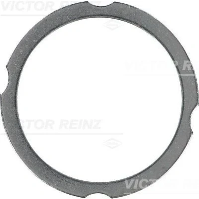 Image de REINZ 61 38260 00 Joint De Culasse 3