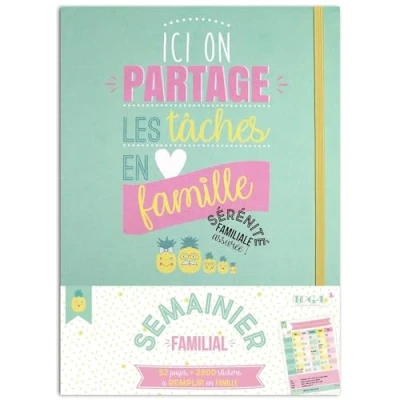 Image de DRAEGER PARIS 1886 Happy Days Kit de Papèterie Semainier Familial, Papier, Vert Menthe, non applicable