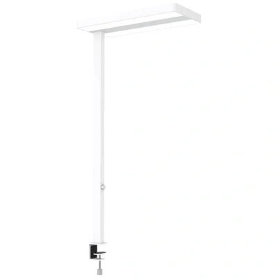 Image de Lampe de table LED MAULjaval, blanc, pied à pince